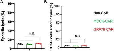 Chimeric Antigen Receptor T Cells Targeting Cell Surface GRP78 to Eradicate Acute Myeloid Leukemia